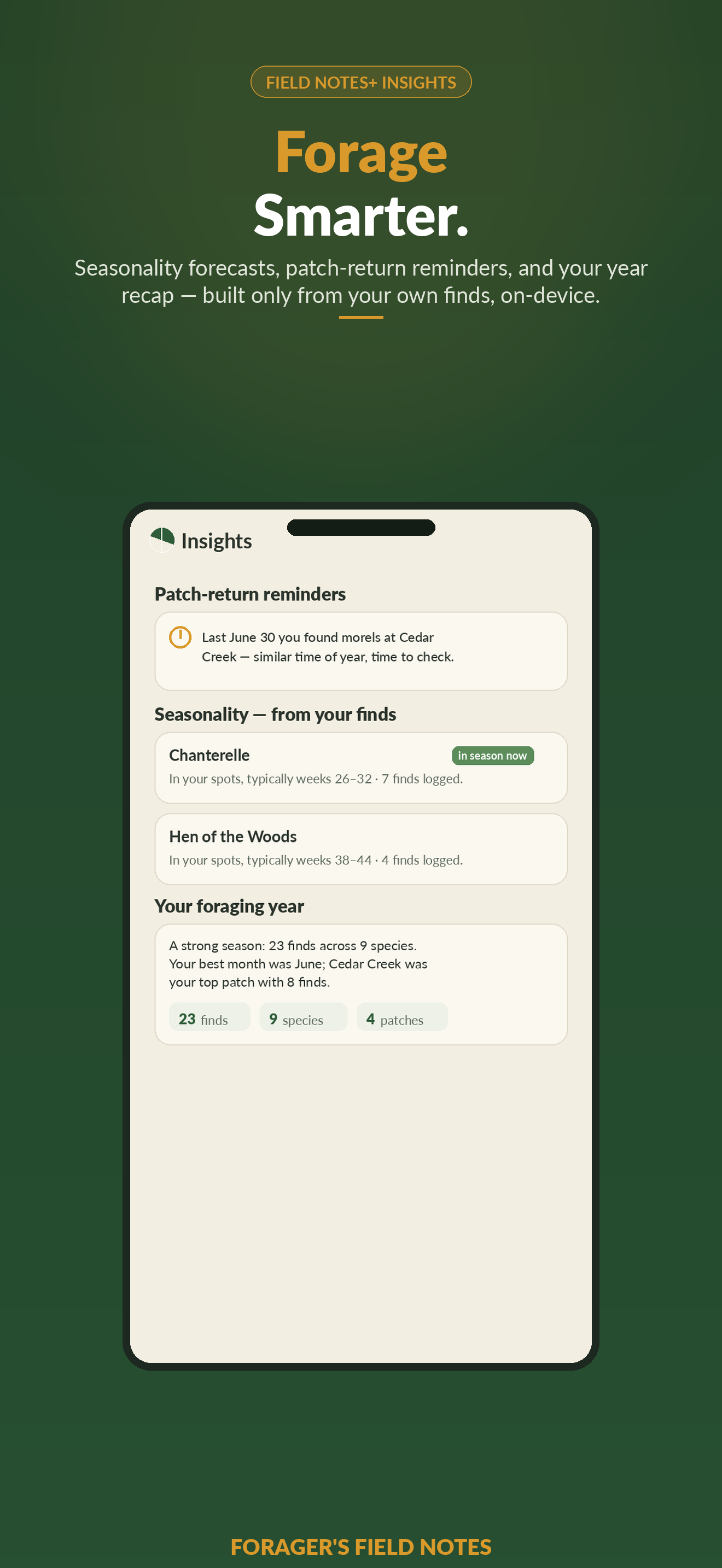 Forager's Field Notes insights screen showing a deterministic seasonality forecast and patch-return reminder built from the user's own logged finds